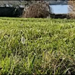 Winter Gartengeschichten