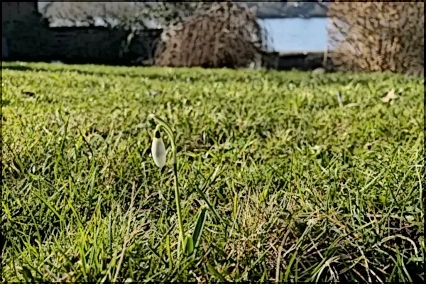 Gartengeschichten: Winter auf der Scholle